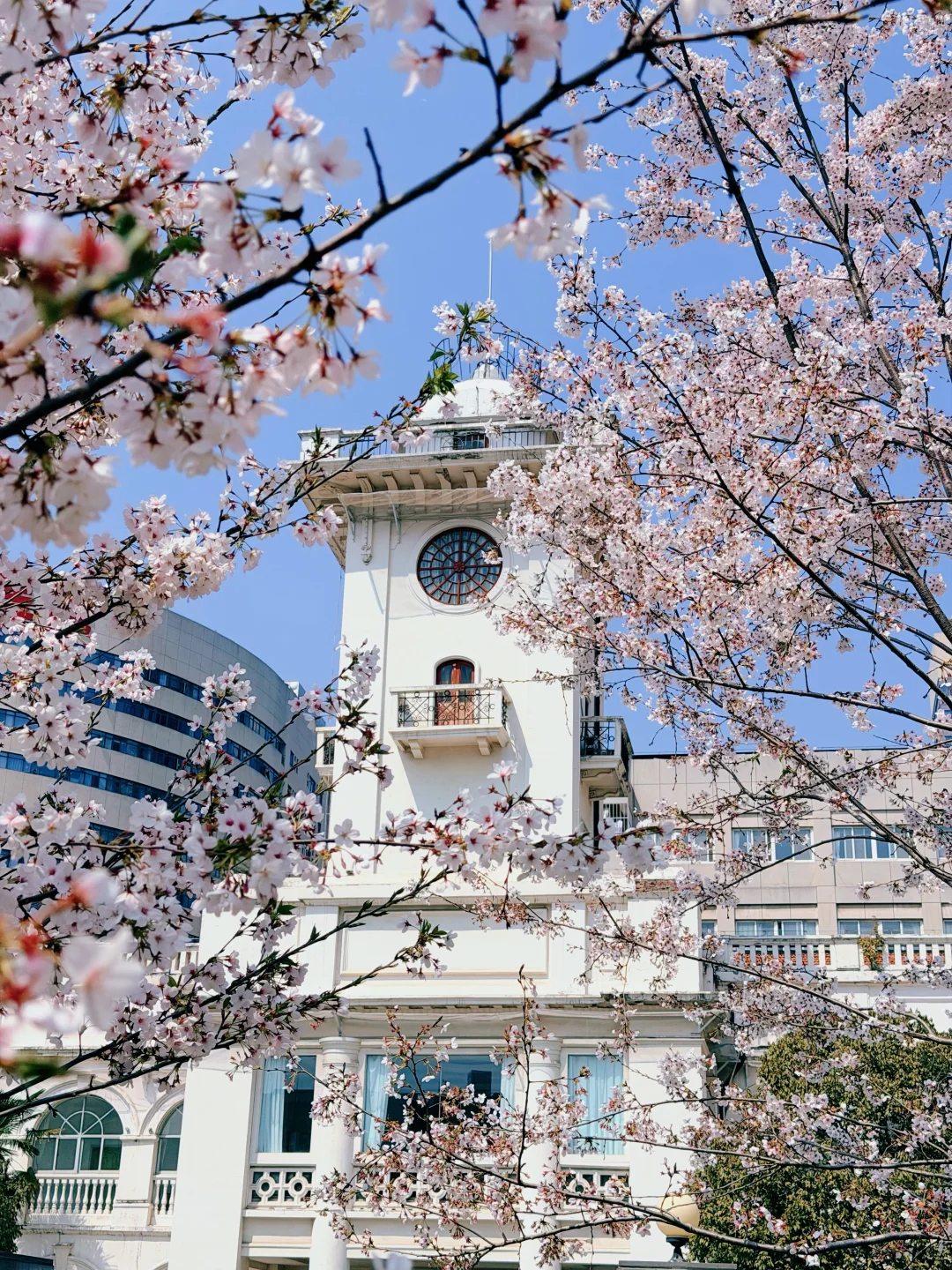 3.12实拍‼️小众+包场｜武汉市最美体检中心