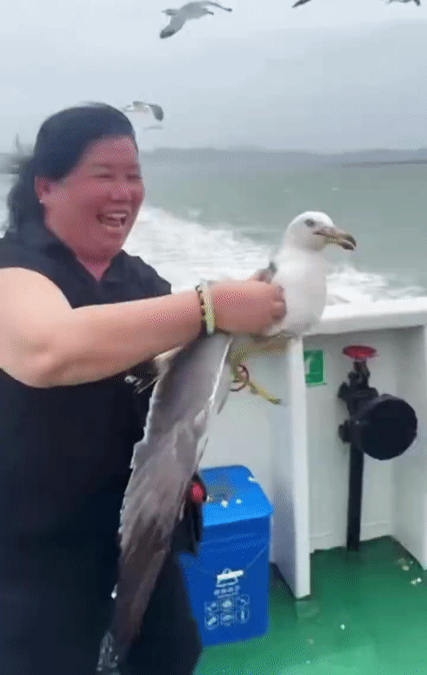 海岛航行的轮船上发生的一幕，看得周围游客满心无奈，小小的举动，暴露了生态保护意识