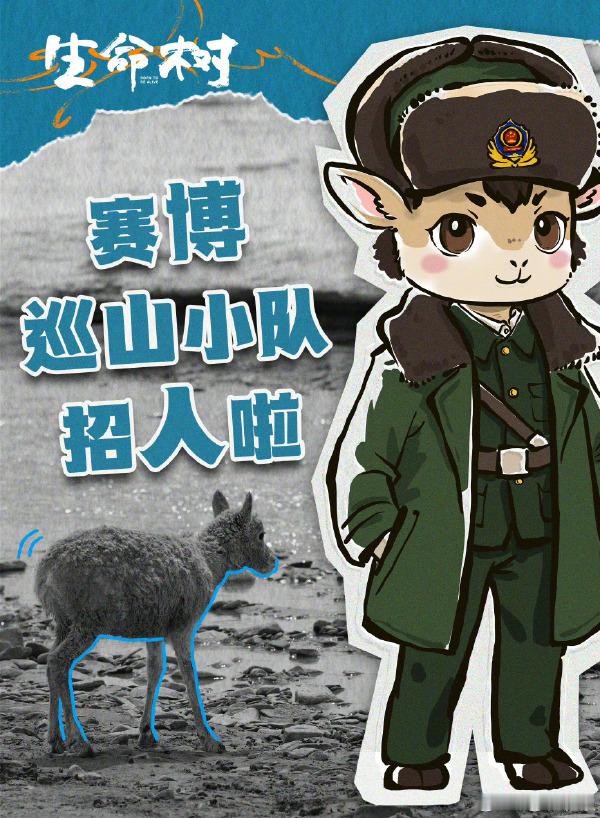 招募志同道合的巡山搭子，杨紫认真进行着这场招聘，盼着遇见能一路同行的人，一同参与