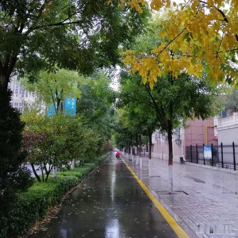 聊一聊《水浒》
——“义气”到底是什么？
"义气"这俩字，在水浒里被讲了一百回，