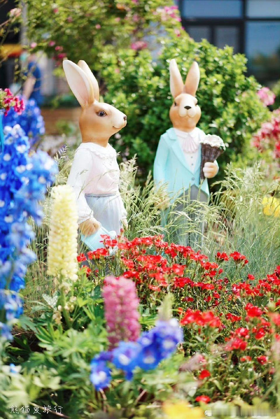 自从搬到顺义，我真的每天都在感叹一句：“原来在北京的生活，还可以这么松弛、这么舒