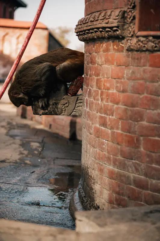 如果你刚好看到有人在你的衣服袋子里面拿钱，你会有什么反应？
今天一个朋友说，他在