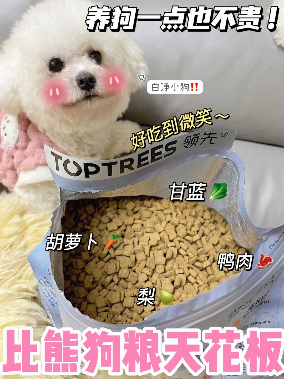 养狗人给我囤！高质量狗粮就选这个了！