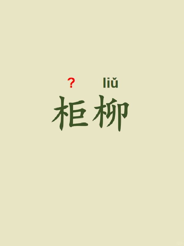 今天来学习——柜柳