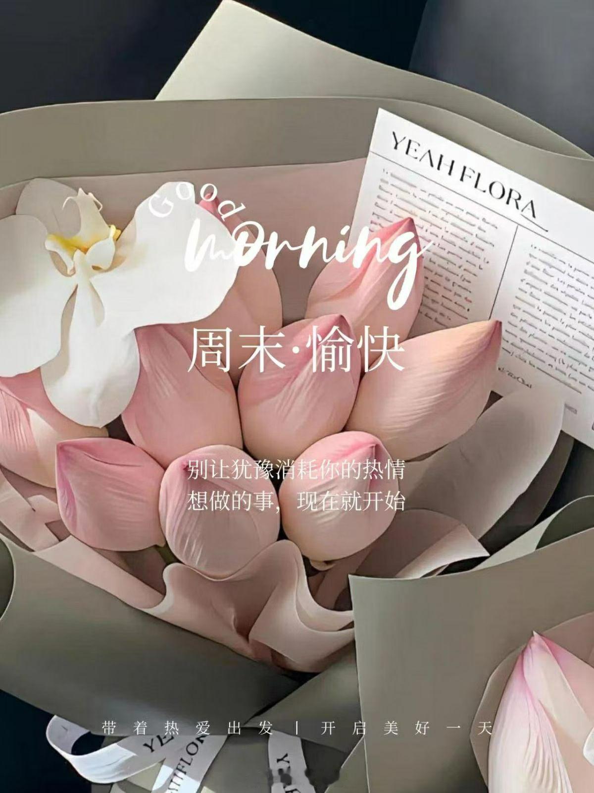 🌷Good Morning一点一滴，慢慢积攒幸福感🌿 