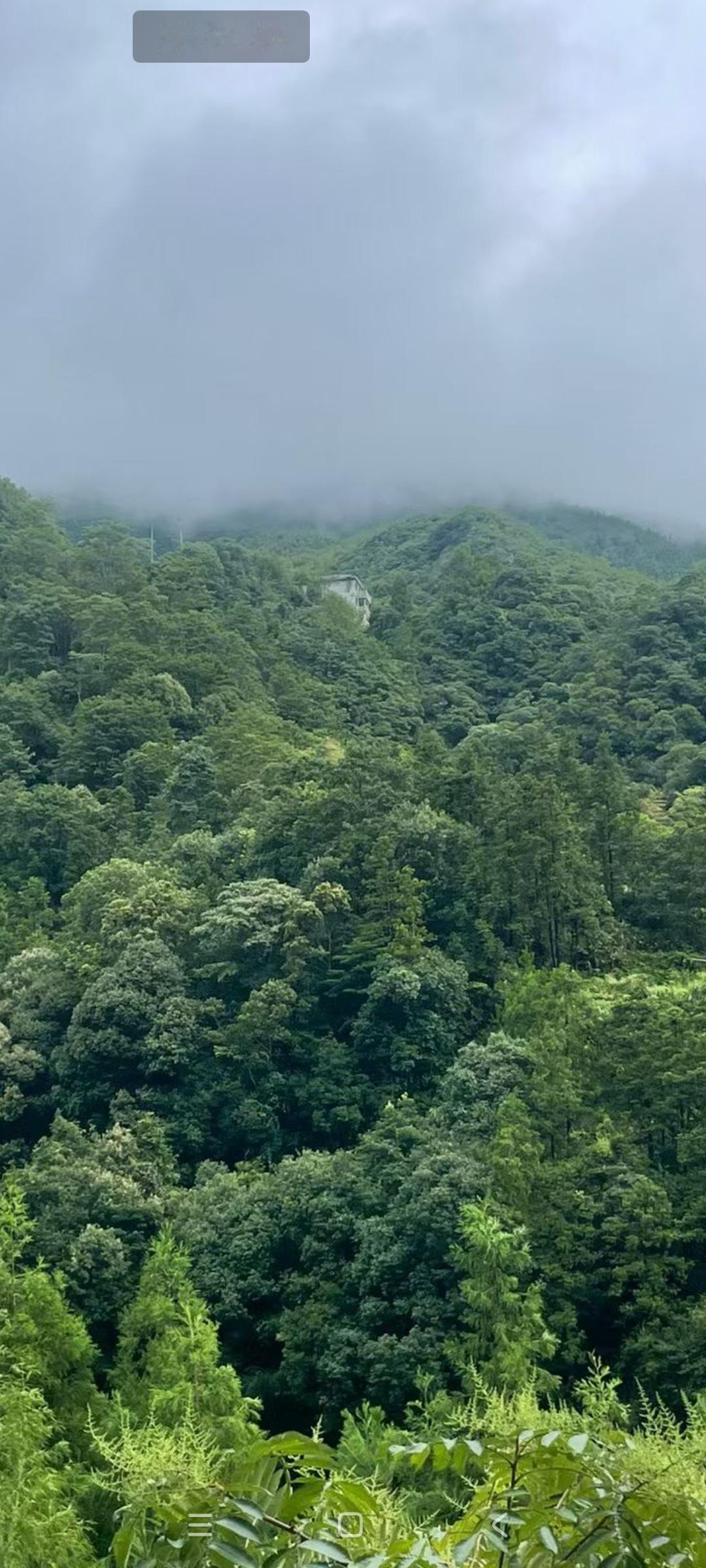 看到一个视频，两个姑娘在意大利行旅被偷了！

这两个姑娘第一次去意大利，以为意大