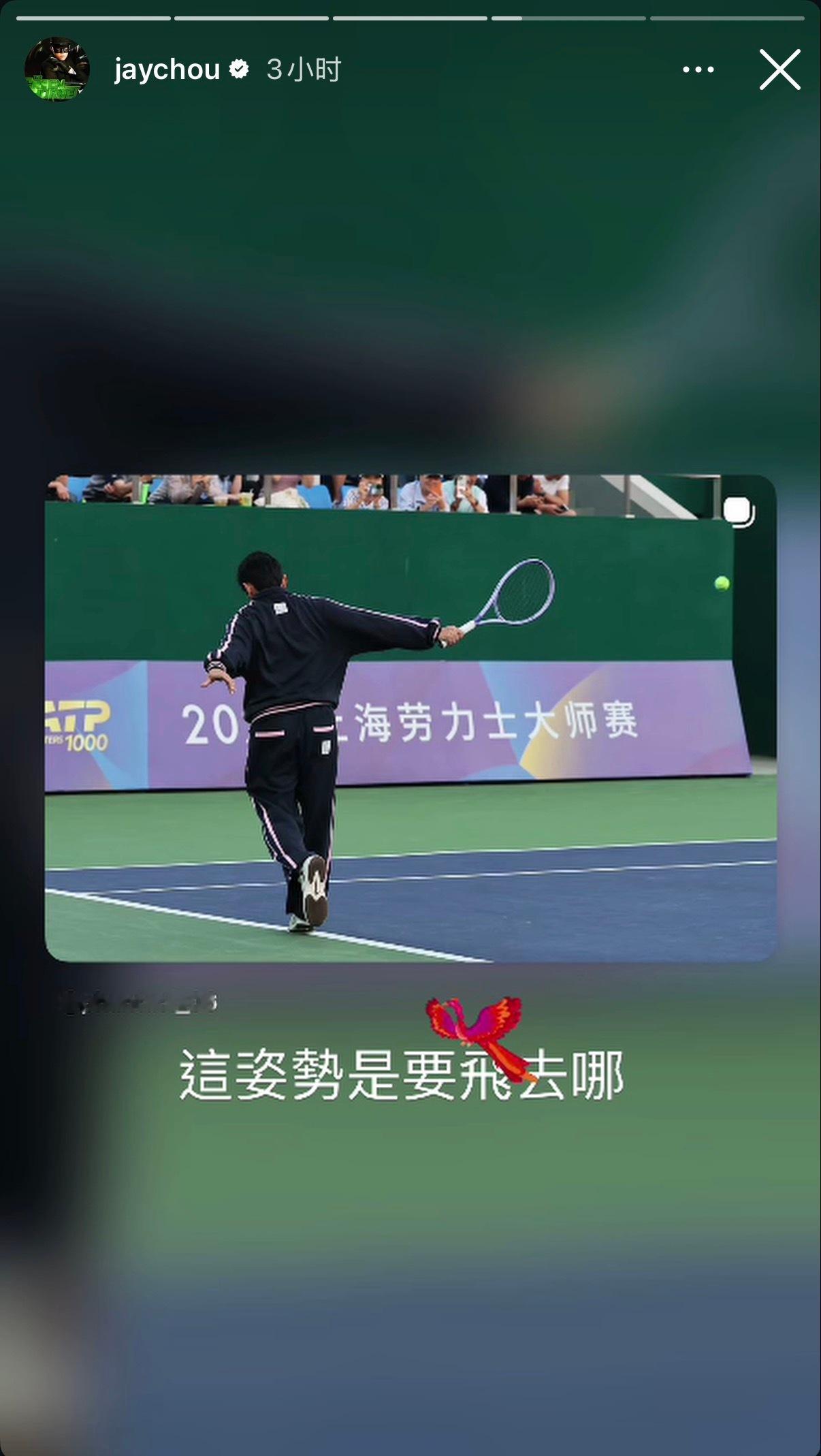 [doge][哇]好萌的一只🦅 ​​​