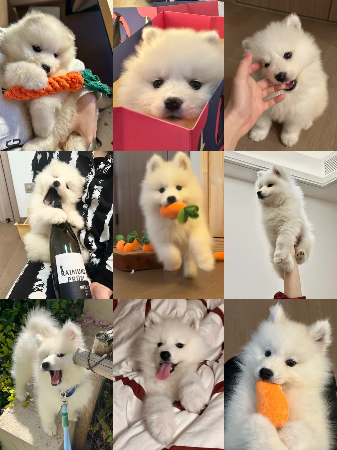 左滑看网图live版🧧🎁