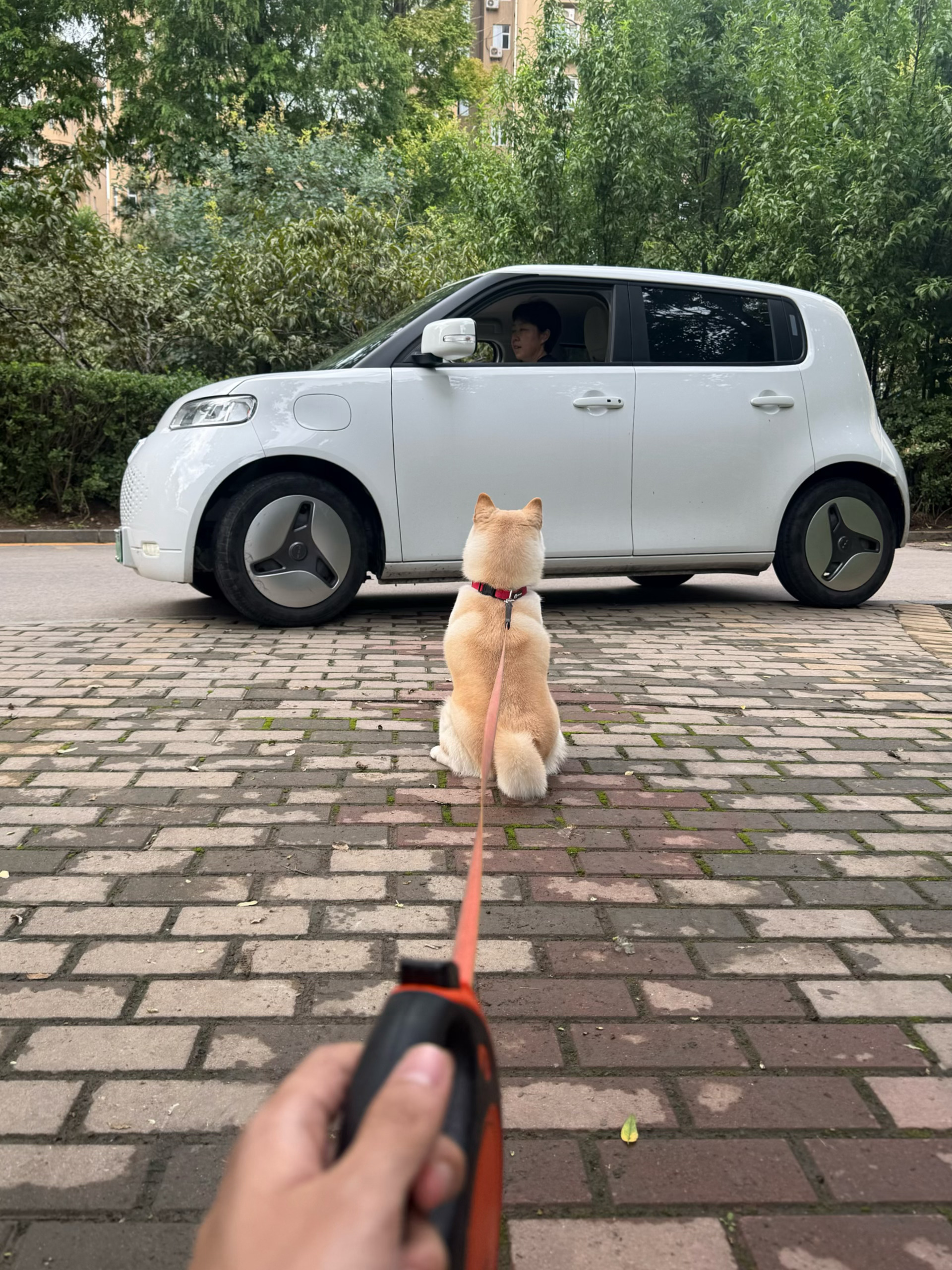十个勤天种地吧 看背影认得出来