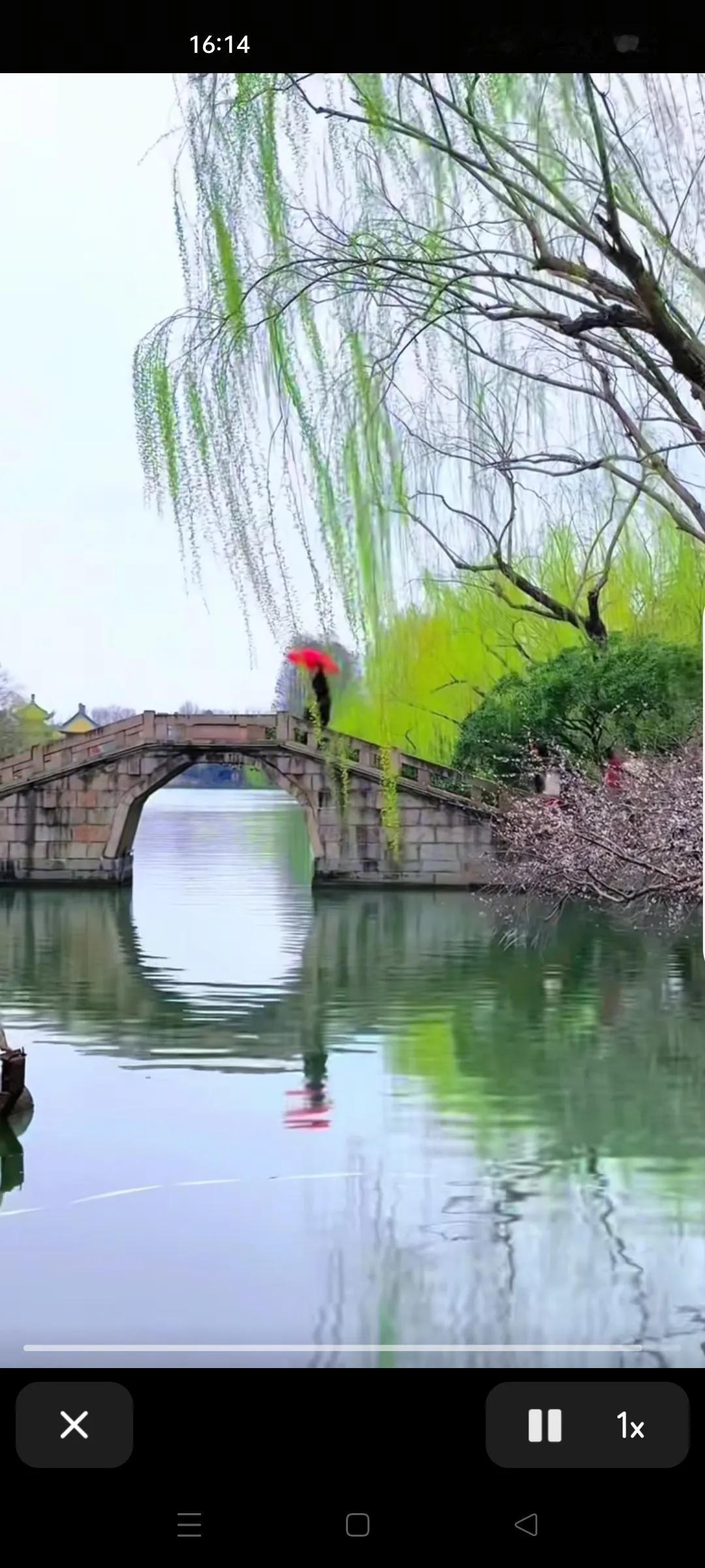 照片里定格美好 美丽桥的风景 风景自由拍