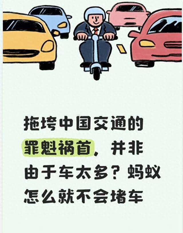 拖垮中国交通的罪魁祸首，并非由于车太多？蚂蚁怎么就不会堵车