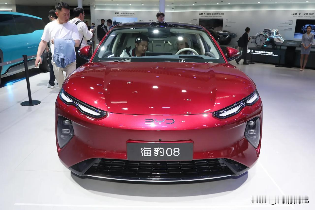 有专家预判中国汽车品牌，未来只剩下这6家：
1、比亚迪，可能性占99%
2、奇瑞