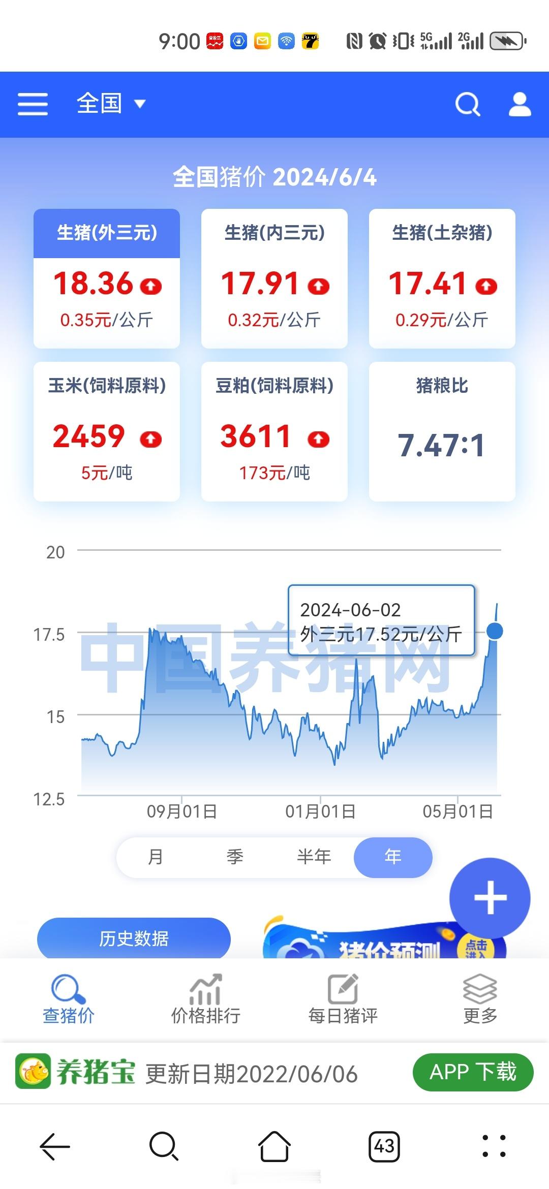猪肉价格又是狂飙，猪粮比马上药到8了。估计过一段时间大家猪蹄子，猪排骨都吃不起了