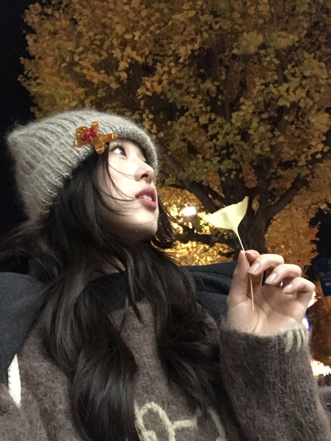 黄黄的叶子🍂