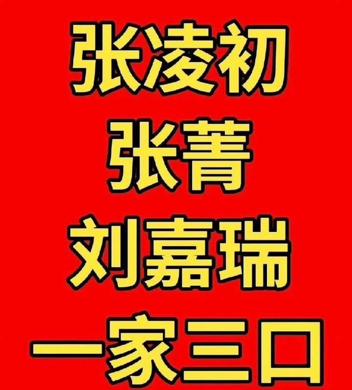 若若
前一阵子有个寻找孩子组织叫初家军，说是为了一个小孩子找爸爸，现在终于找到了
