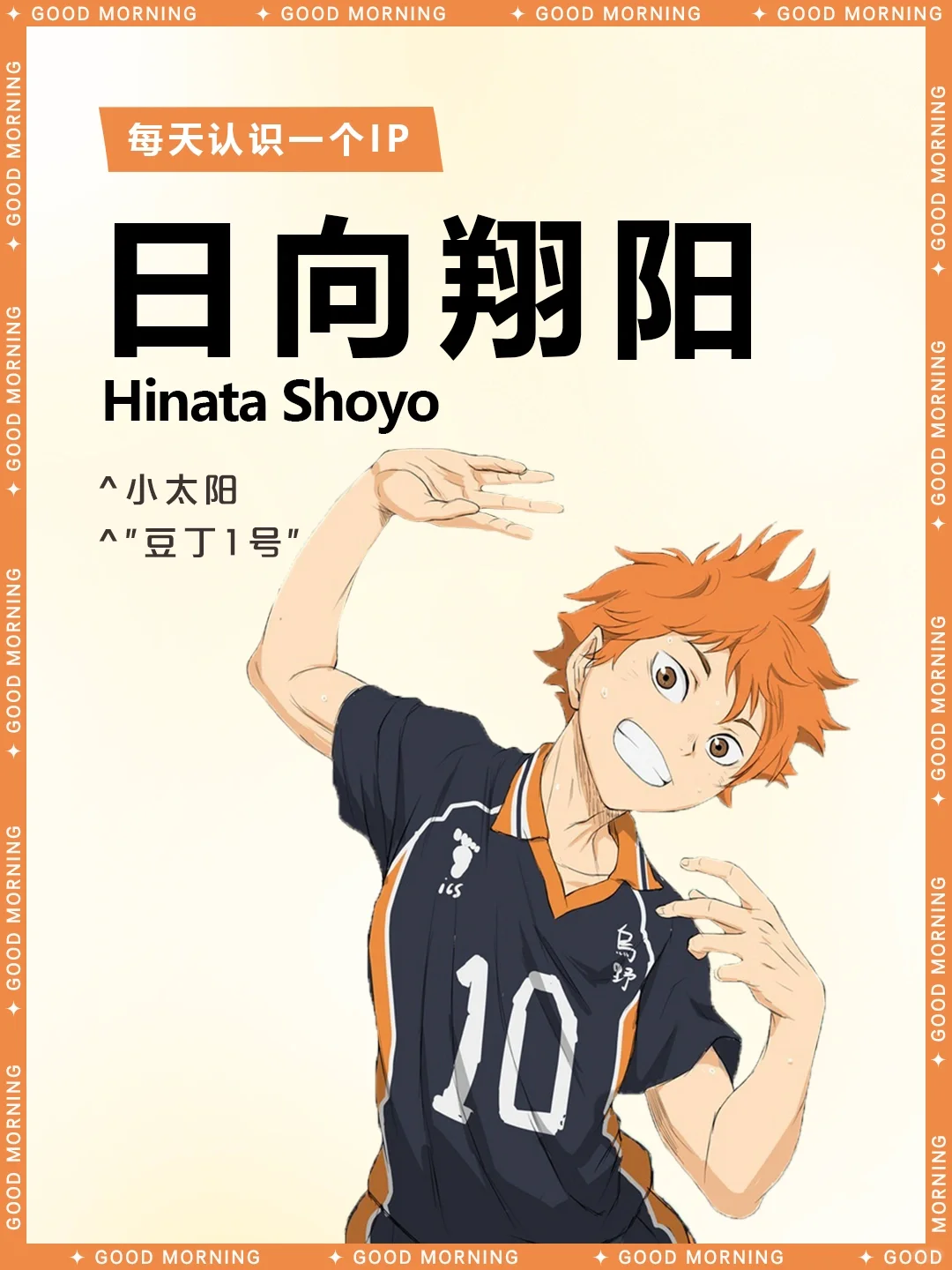 排球少年 | 日向翔阳🏐