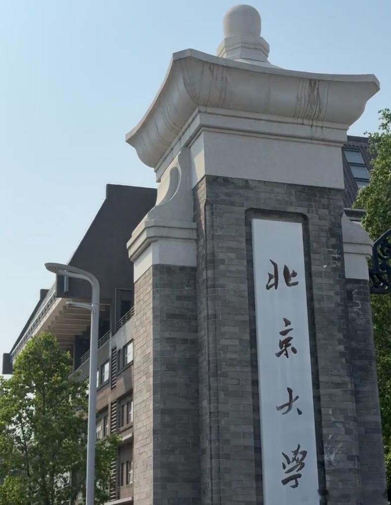 北大博士破局抗癌药研发 每一项突破背后都有无数的汗水，期待北大博士们的努力在未来
