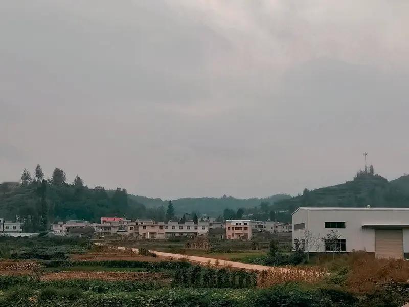 条友这一周 这周发生了两件趣事。在内蒙包头，天气越来越冷，但因为家里有地暖倒也舒