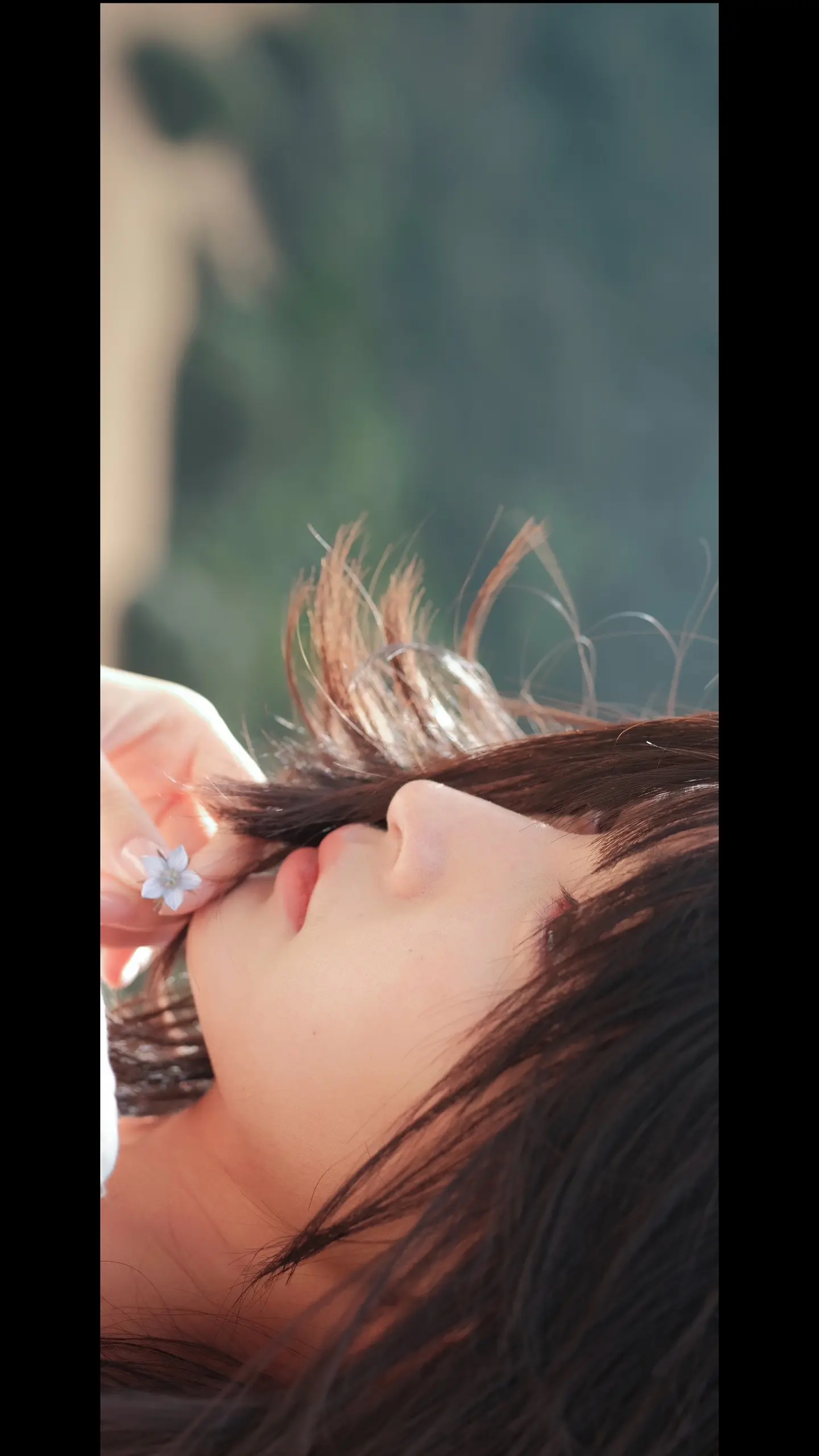 “她如这高原上的小花，遗世而独立”
