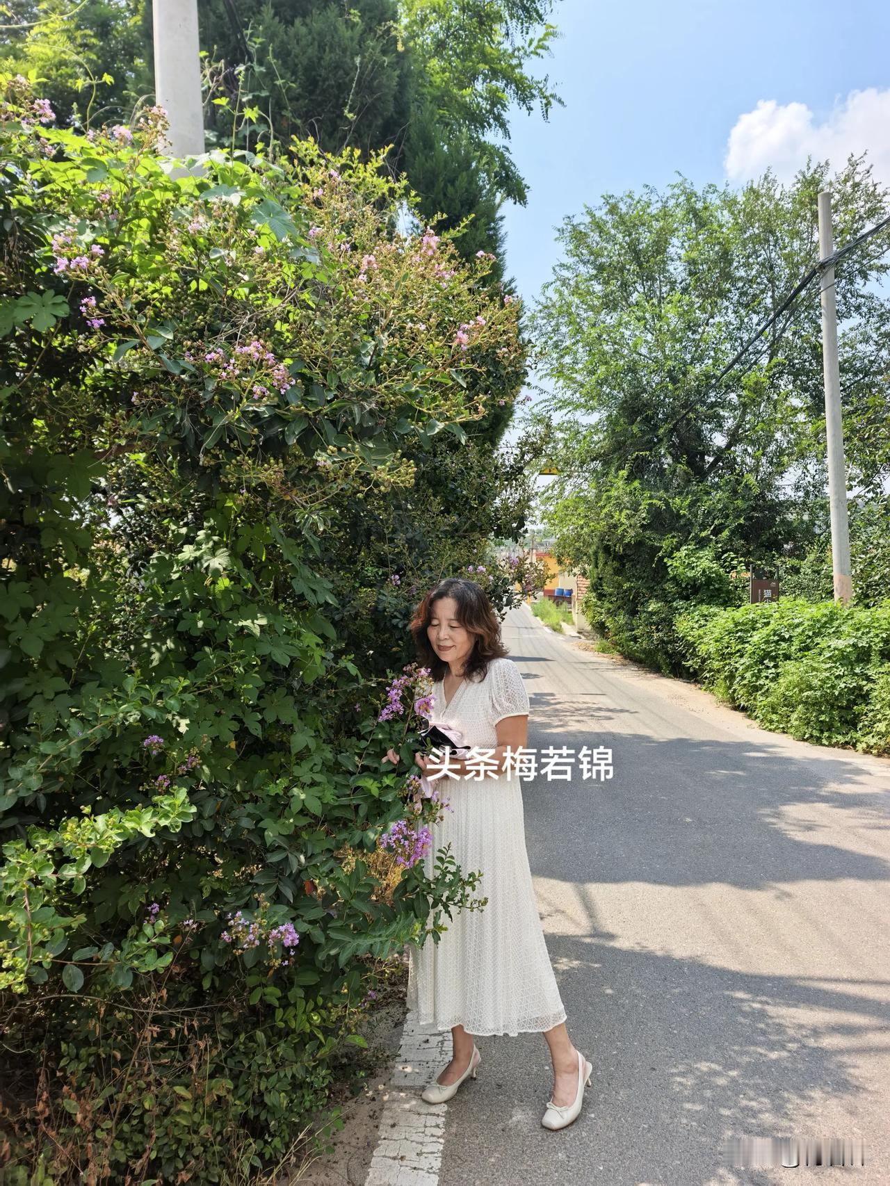 在家呆闷了就进山走走。蝉声聒噪稀落夏天快过去了，四野皆是满眼的绿意，再过一段时间