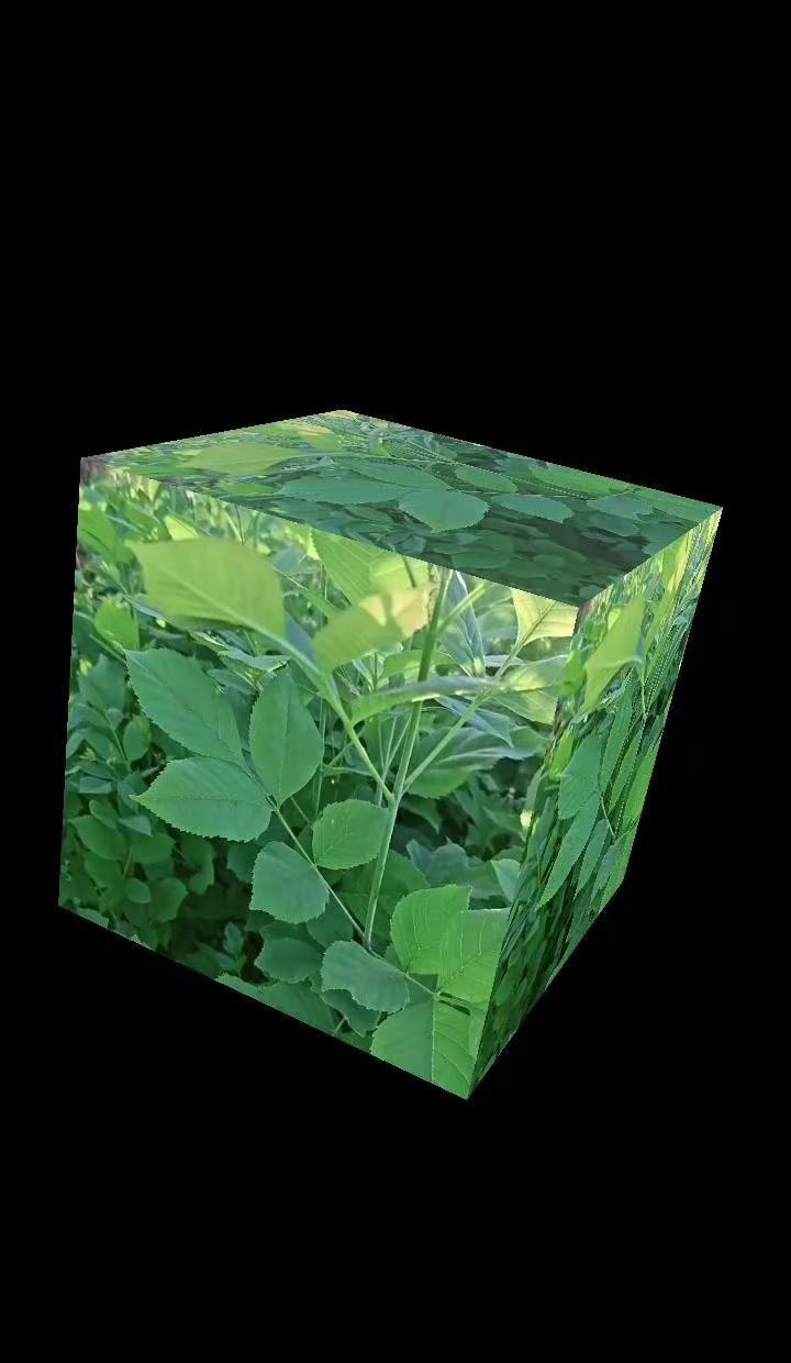 照片变立方体超有创意。用自己拍的照片合成立方体景，效果太棒了！每个照片都像变成立