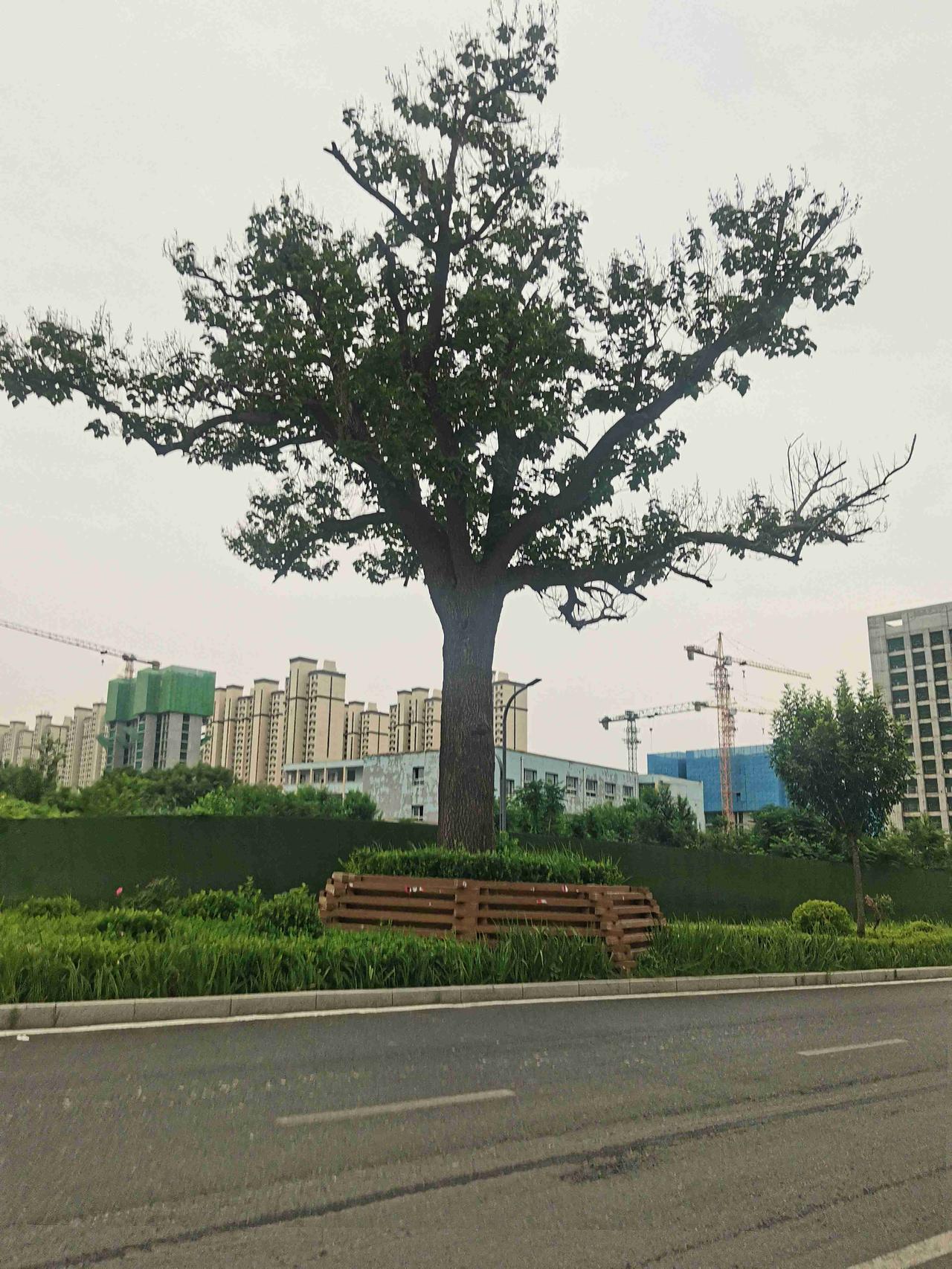 我的今日状态：😁轻松愉快
我这里的天气：☀️晴天