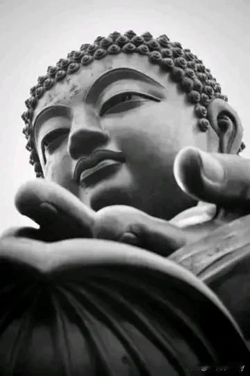 老祖宗留下的民间老人言
头有四角必富贵，园头顶高富寿长。
顶低顶缺多薄命，就怕无