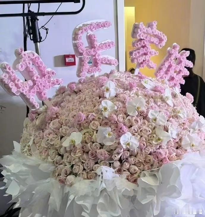 谢娜演唱会成都开唱，花海铺满蓉城，赵丽颖肖战  李小冉  快乐家族  吴昕  时