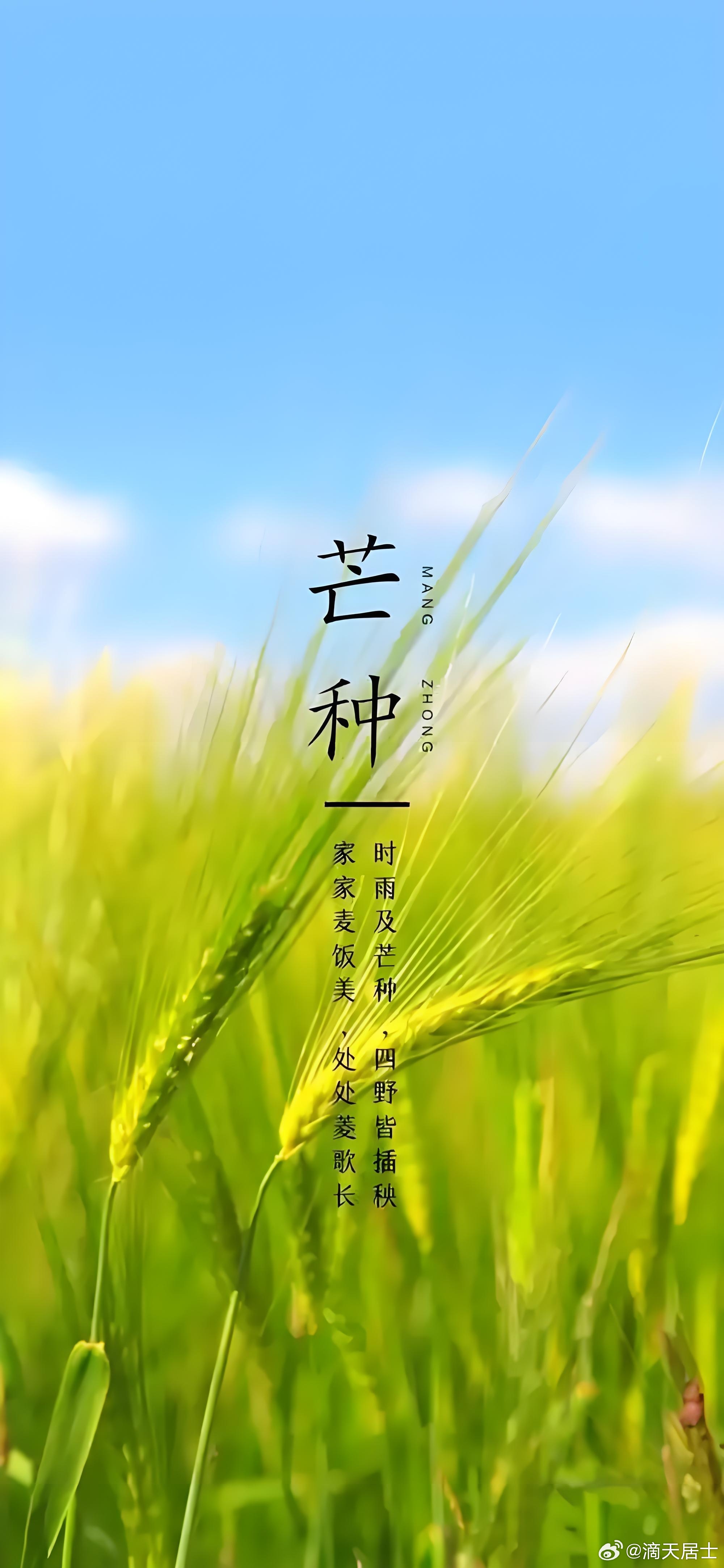 芒种的核心是种什么收什么。求好运不如主动种下好运的因。可以拿出一张纸，写下要做的