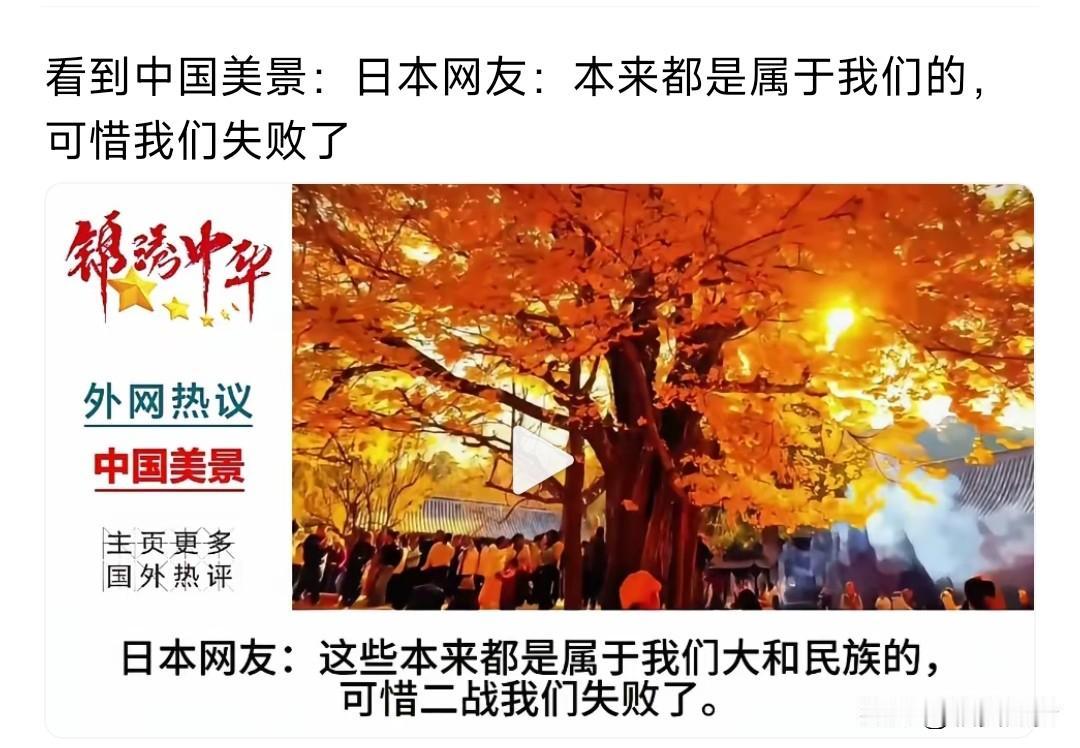 日本人对中国的误解非常深，这种误解加上媒体的选择性报道以及日本的选票政治，日本会