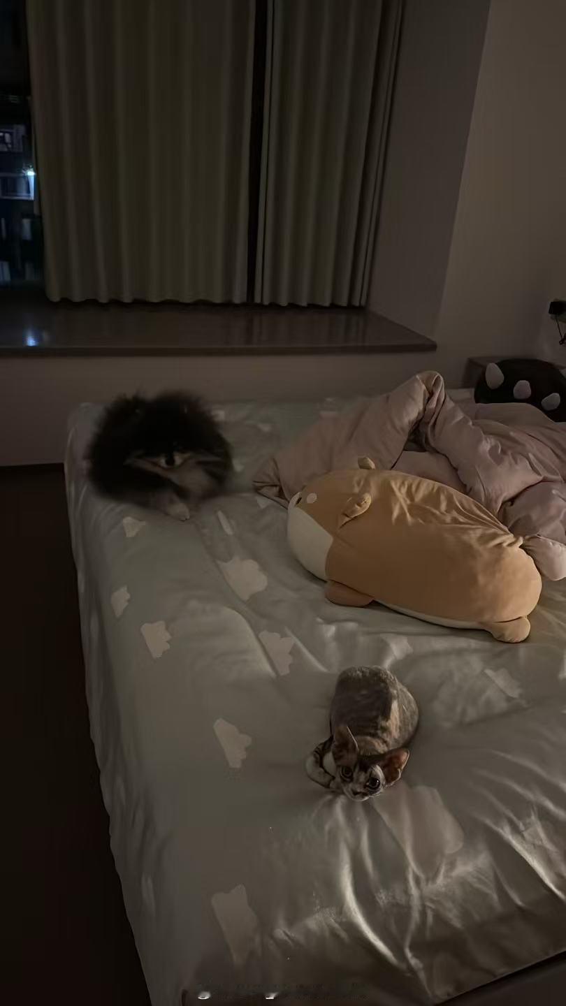 人，等你来一起睡觉哎哟，弟妹们怎么能这样可爱[抓狂] ​​​