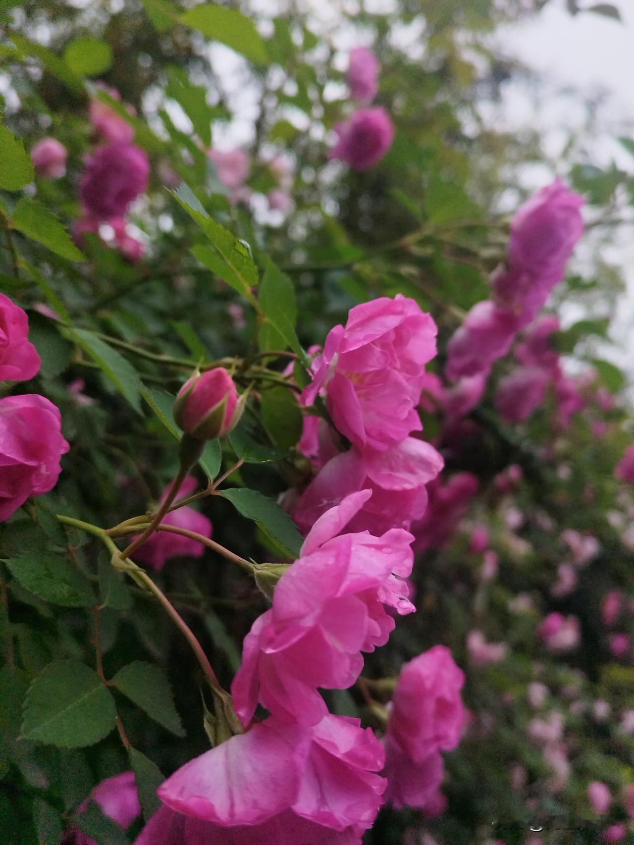 手机拿在手中，还到处找电话？
早上正刷着抖音，突然想起一件重要的事，有事和朋友商