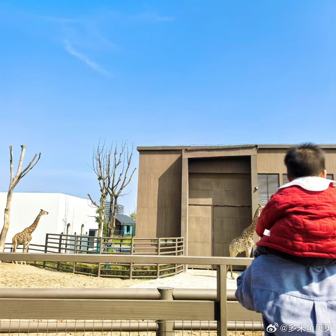 无忧无虑的小时光 