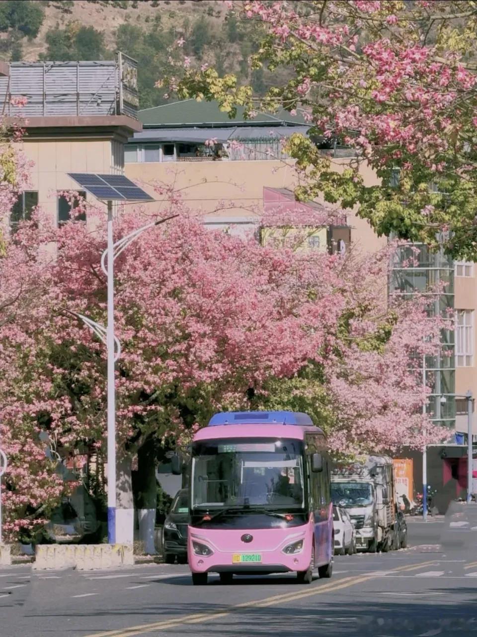 被低估的西南小城，攀枝花才是理想的宜居养老之地🌞很多人提起攀枝花，印象都停留在