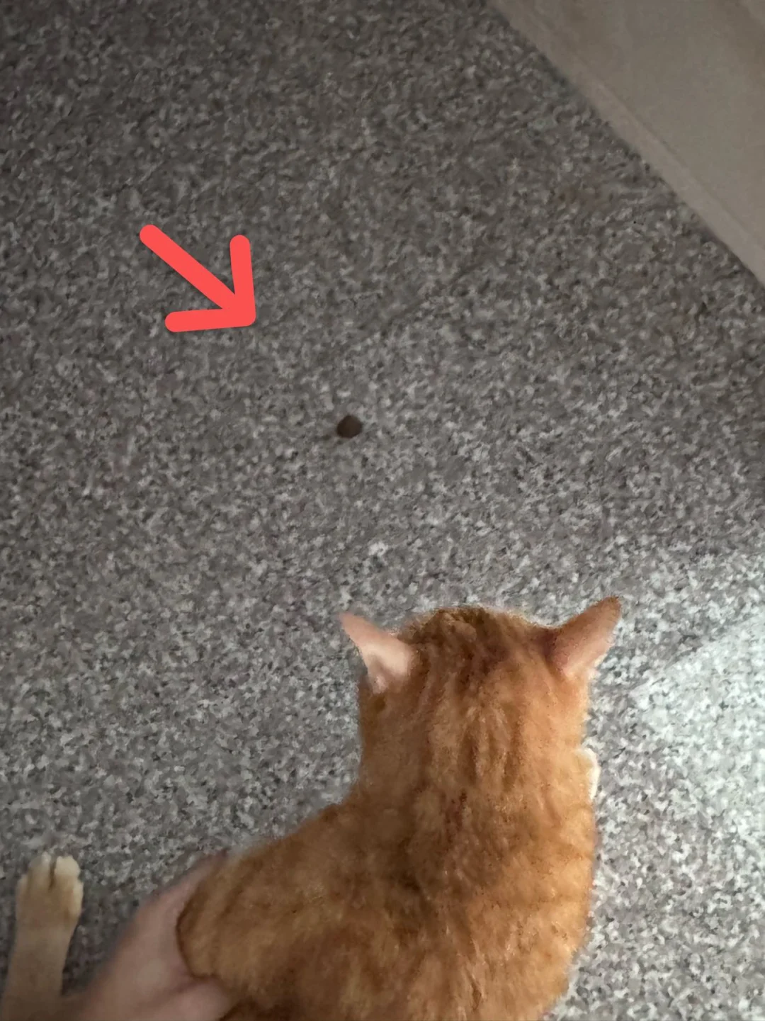 带罪犯指认现场