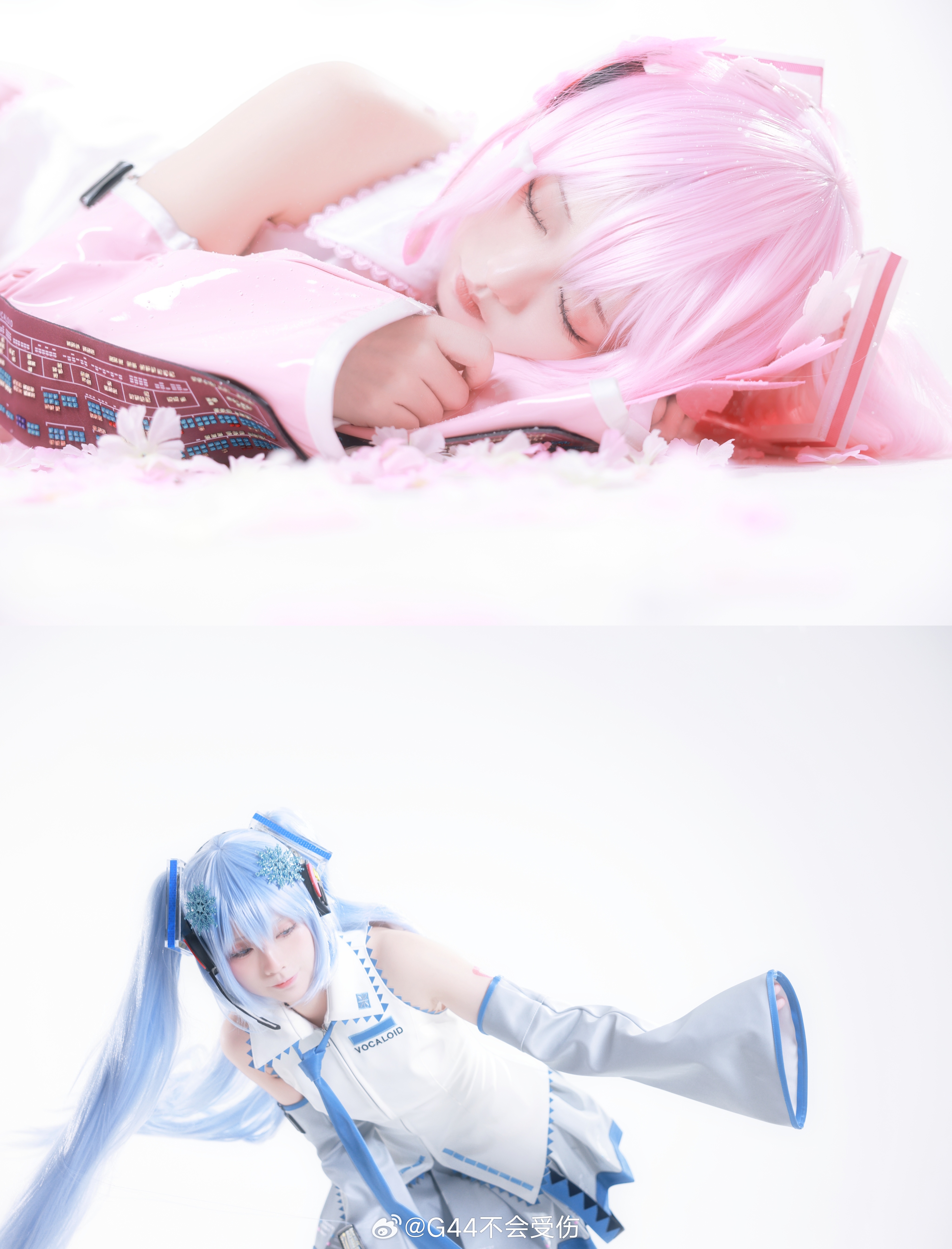 初音未来 ❄️“明年冬天再见吧”🌸phx【转发里抓两位送樱/雪miku塑料小人