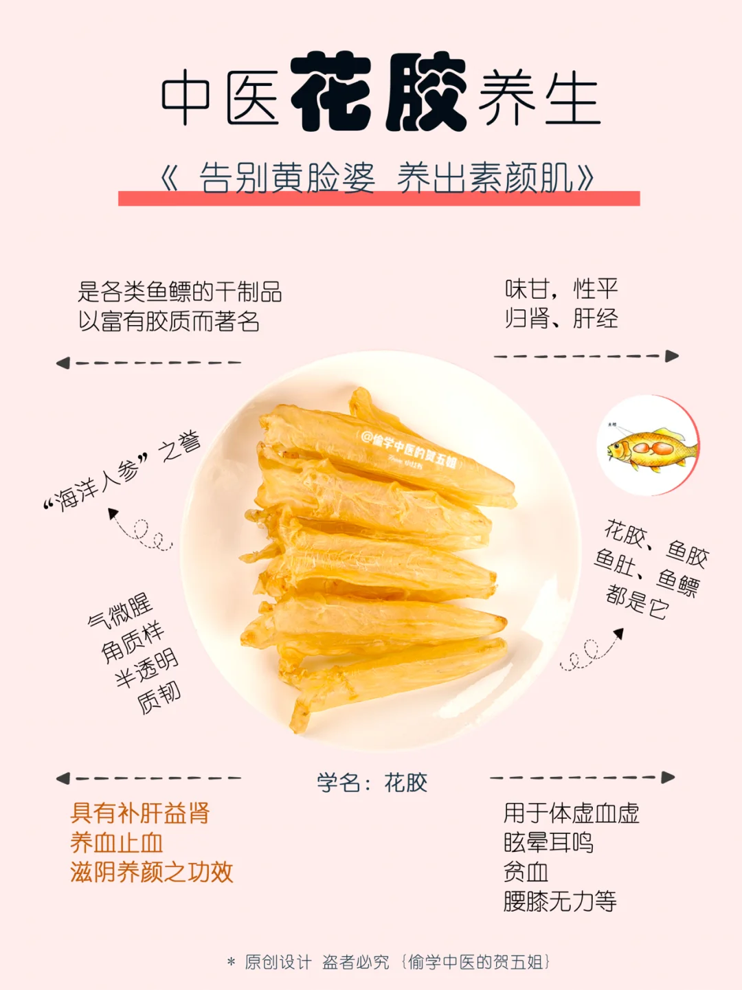 18养生课堂📝花胶🐟养血润肤 补肝益肾🩸