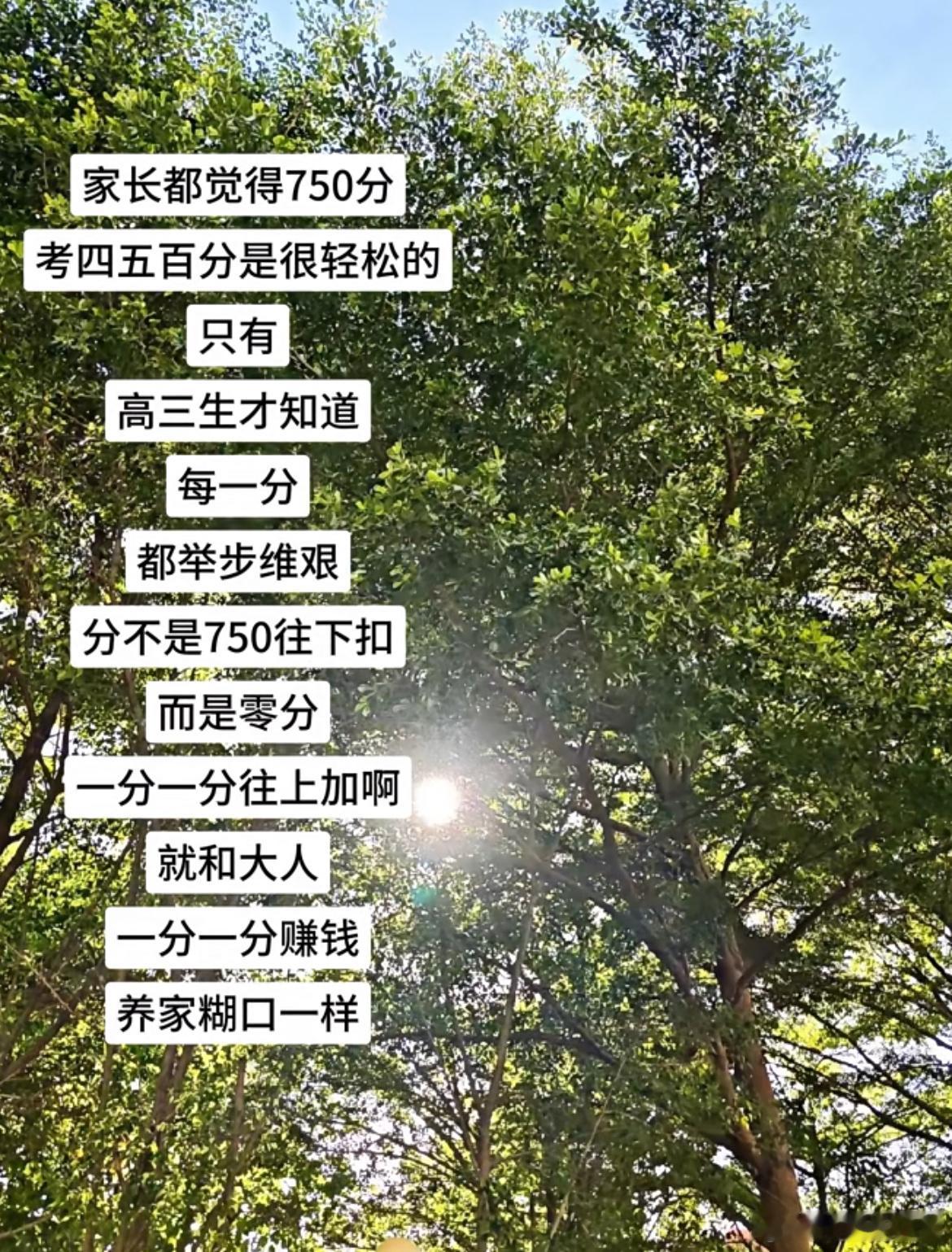 只有高三生才知道每一分都举步维艰 ​​​