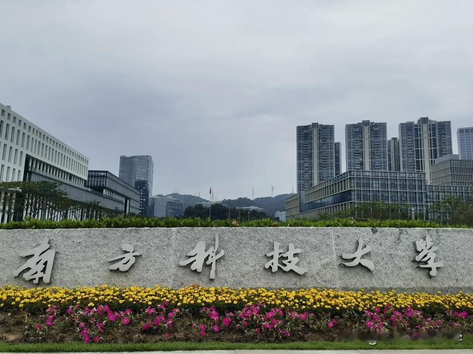 南方科技大学果然建设的非常现代和豪华，
建设风格和外国大学很类似，
开放、围合式