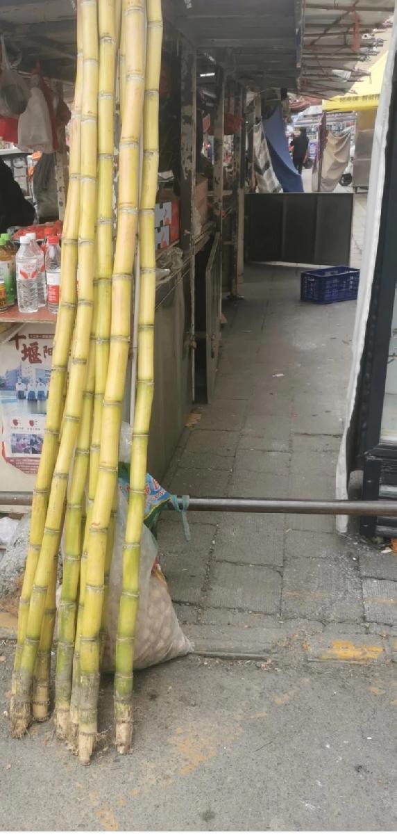我这是遇上甘蔗刺客了吧！刚准备挑根甘蔗啃，结果一问价格直接惊到了，一根居然要七八