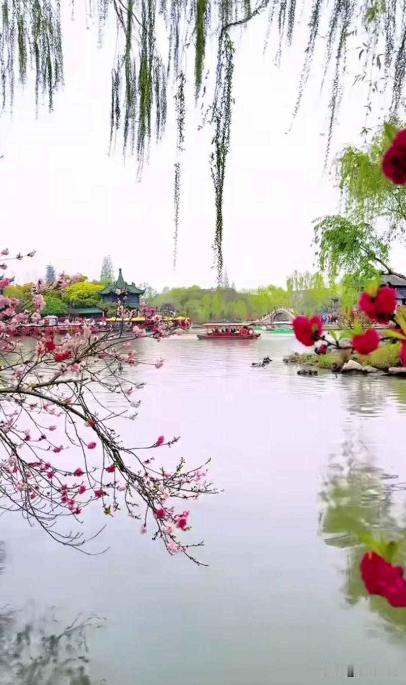 烟花三月下扬州
扬州人把那条小河沟打扮的如此美丽，春天游览过瘦西湖的游客，无不为
