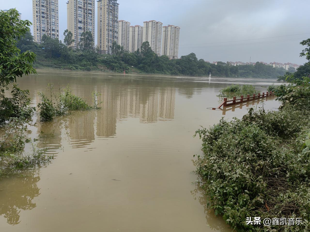 兄弟姐妹们，来宾红水河的鱼都去哪了？

我不信，发那么大的水没有鱼，但是确确实实