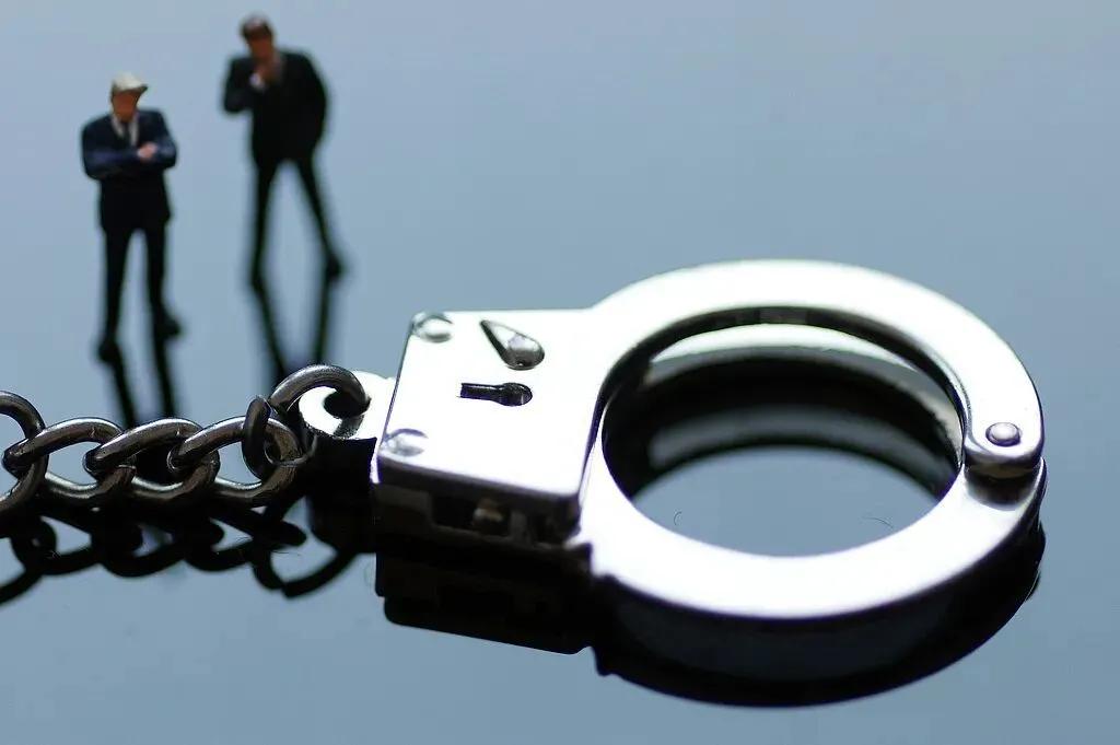 定性反转，难掩争议！
1月28日北京消息，失踪13年的精神病女硕士卜某案有定论，