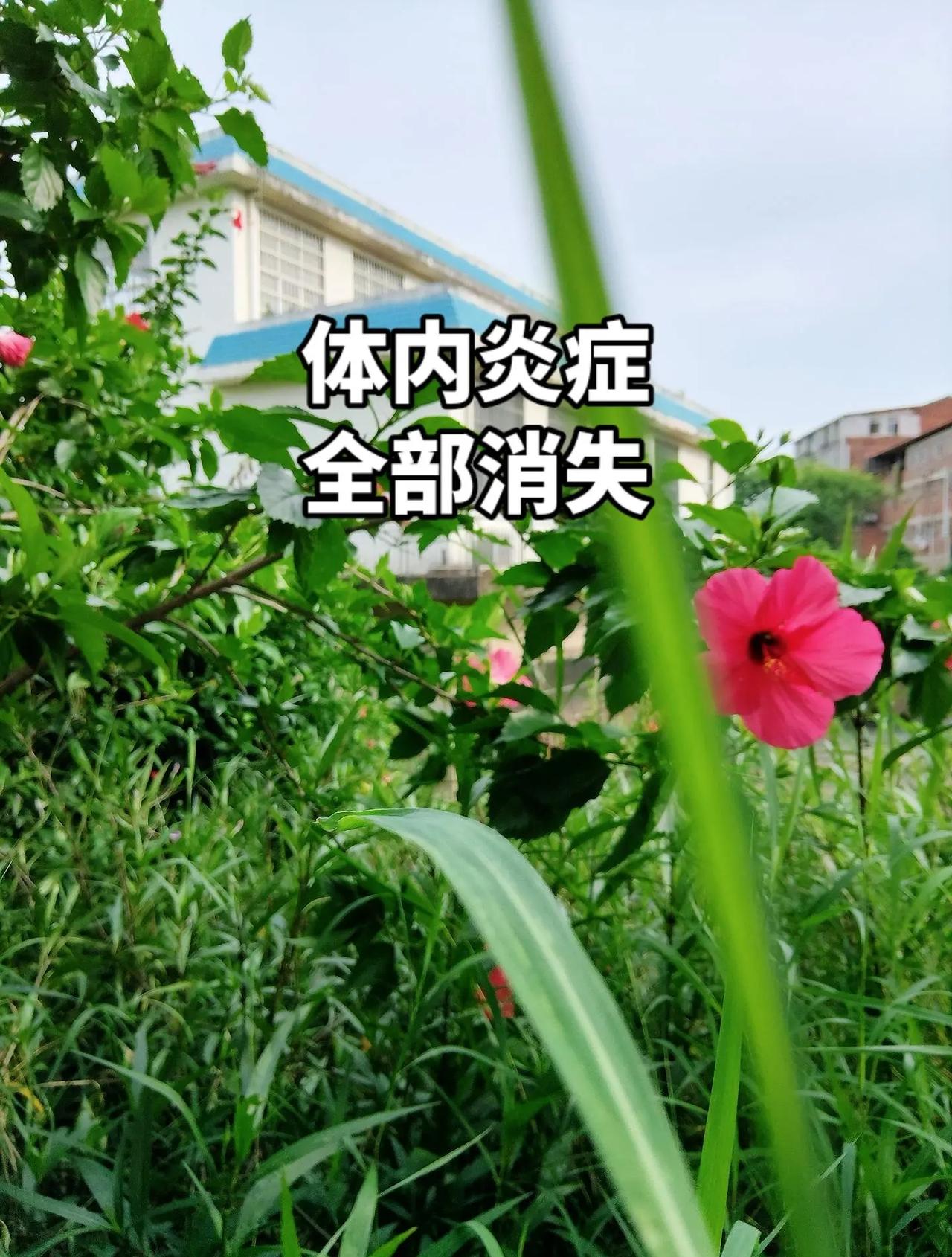 CBA季后赛G2广东VS北京，徐杰抢下关键篮板，助攻张皓嘉3分加时绝杀北京！广东