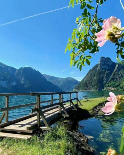 前几天坐高铁，后排两个阿姨聊天特别有意思。

一个说：“我闺女啊，就指望嫁个好人