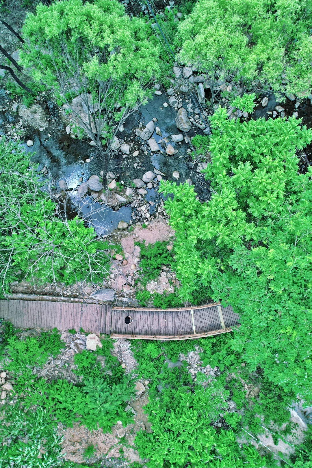 这次没骗我‼️超治愈森林步道玩水地