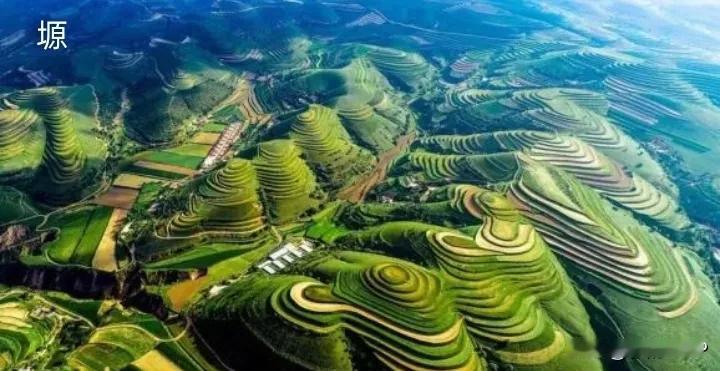 在哪里可以买到安全的食品吗?
在乡场去买
在农村人家里去买
那里的味是原味
要想