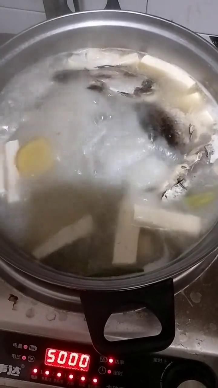 今天礼拜日，跟朋友下午到河北省保定满城龙门水库钓了几条鲫鱼，在家做做鲫鱼汤。这是