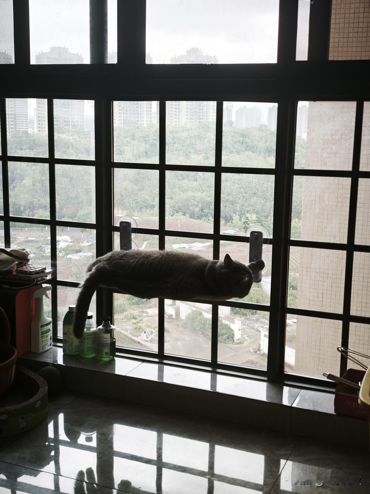 如何看待乘客坐网约车在车内排泄如果是生病了，那没有办法，但应该给予司机相应的补偿