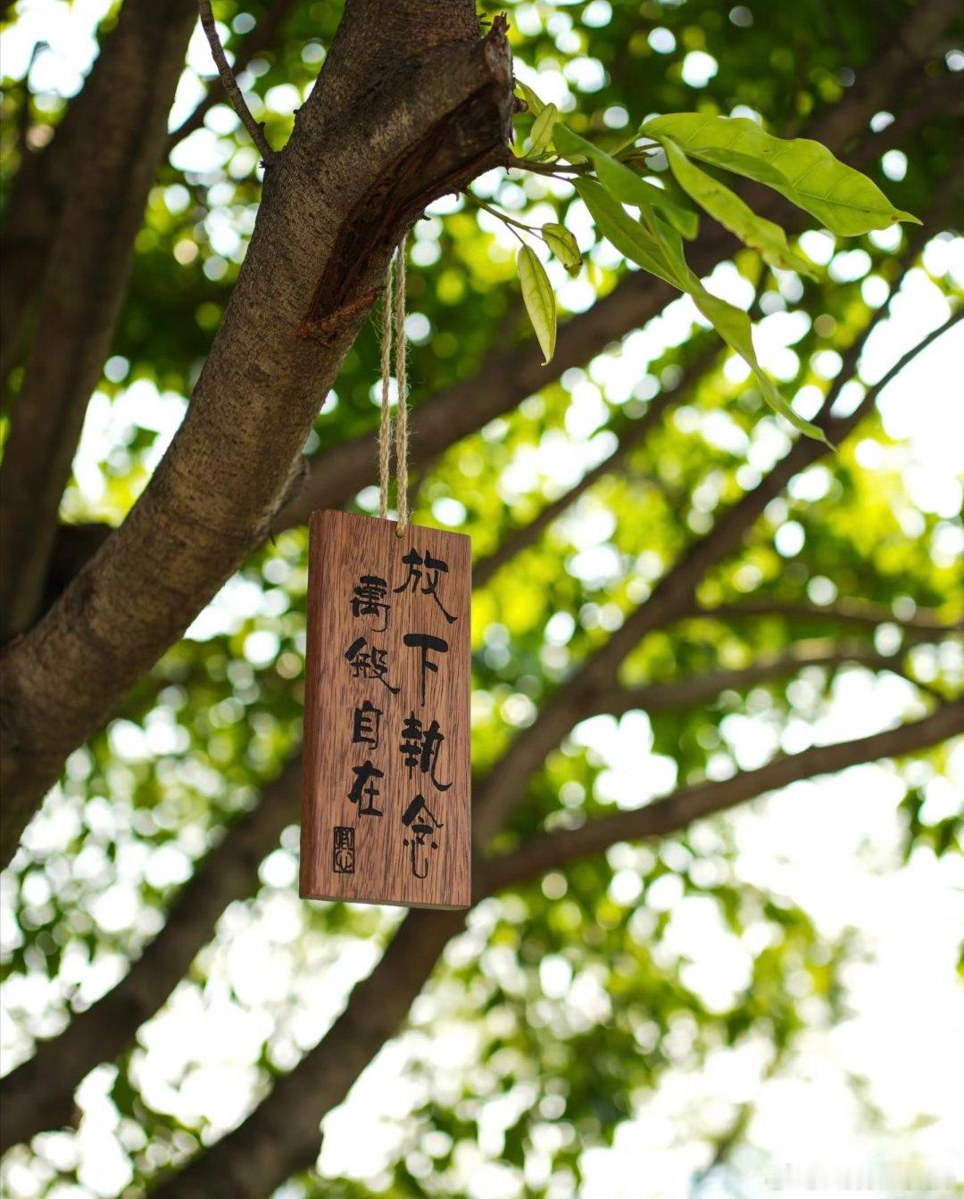 真正土的从来不是深情，而是把自己的人生，活成别人的附属品。一个人成熟的标志，不是